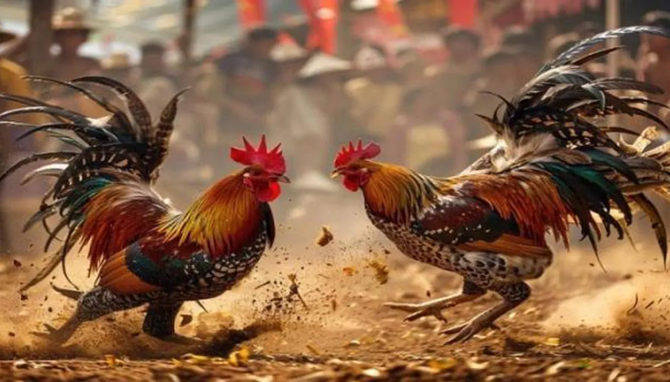 Mobile phone displaying Ninong Game Online casino games